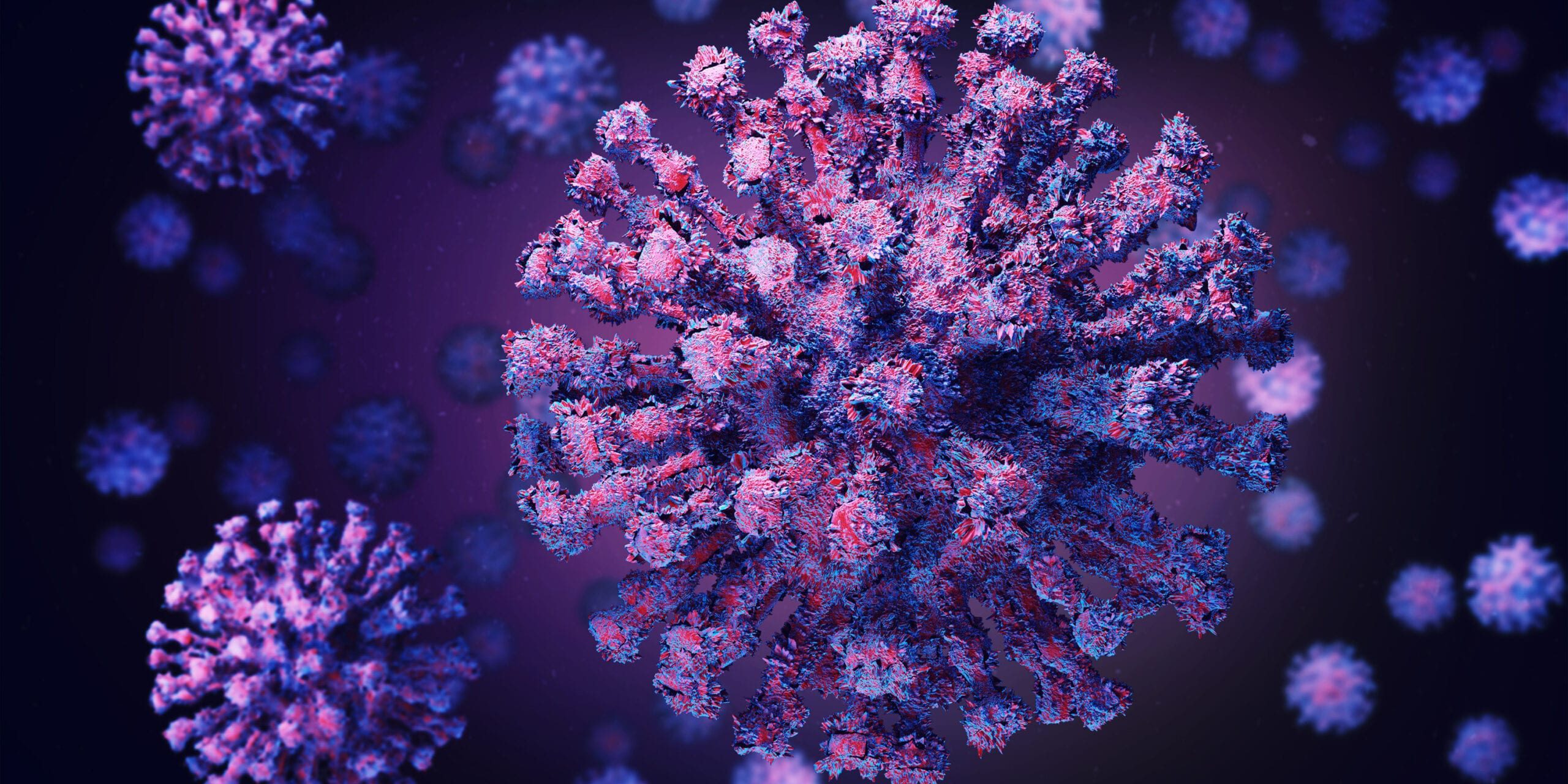 The Novel Coronavirus.